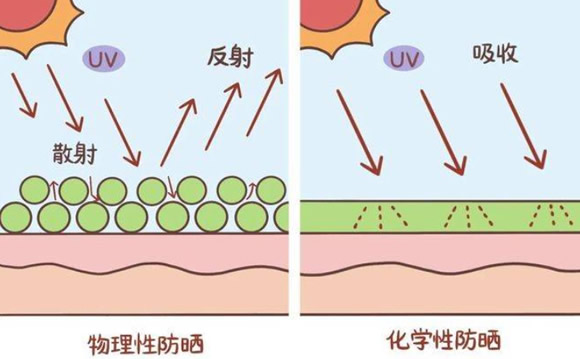 特膳食品的區(qū)別.jpg