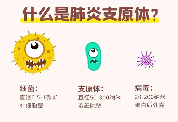 支原體肺炎.jpg