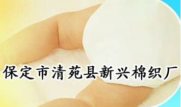 保定市清苑縣新興棉織廠