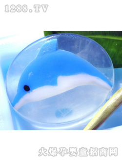 昊鑫兒童皂海豚