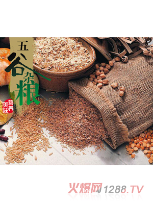 嬰滋美嬰幼兒牛肉絨營養(yǎng)谷粉