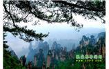 【純玩獨(dú)立成團(tuán)線路1】張家界、袁家界、天子山、寶峰湖/黃龍洞二晚三日