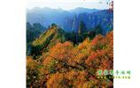 長沙往返張家界、天子山、寶峰湖/黃龍洞三日游