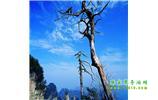 湘西之旅：張家界、天子山、寶峰湖/黃龍洞、鳳凰古城、猛洞河漂流、天門山六日游