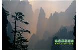 張家界國家森林公園、寶峰湖/黃龍洞、鳳凰古城、三峽八日游