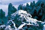 【純玩散拼線路17】張家界、天子山、芙蓉鎮(zhèn)、猛洞河漂流、鳳凰古城三晚四日游
