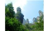 【純玩拼團線路 張家界出發(fā)A2線】張家界、袁家界、天子山、金鞭溪、鳳凰古城2晚3日游